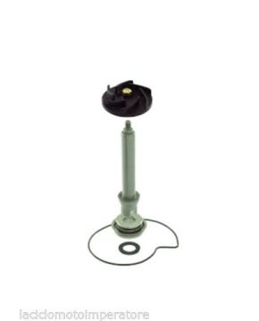 kit revisione pompa acqua piaggio beverly 400-500cc