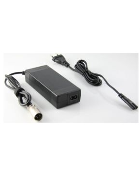 caricabatterie 36v piombo monopattini elettrici