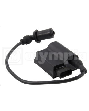 centralina motori piaggio 50/100 4t (senza limitatore)