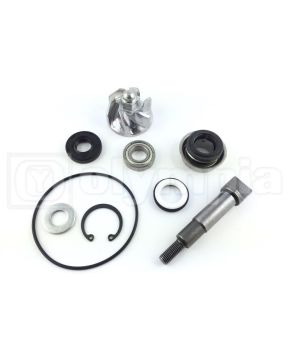 girante pompa sh 300