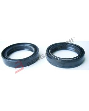 KIT PARAOLI FORCELLE 2 PEZZI 41X54X11 DOPPIA MOLLA TOUR MAX V839200136