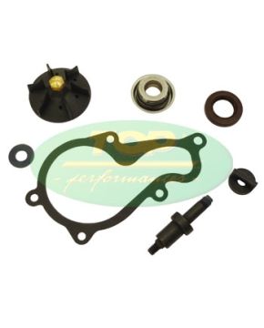 Kit revisione pompa acqua Piaggio 350