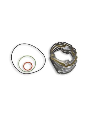 guarnizioni completa per gruppo termico diam. 47,6 11 9421