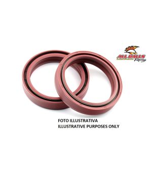 paraoli 41 x 54 x 11 all balls 55-119