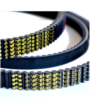 cinghia people 250 xciting 250